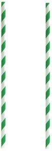 Vasudha Straight Drinking Straw (Green, White, Pack of 200)