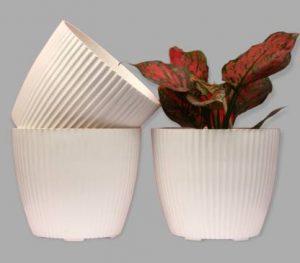 The GardenShopee Plastic planter Pots for garden and indoor decoration Plant Container Set (Pack of 3, Plastic)