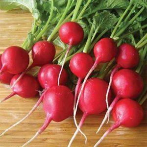 Paudha Radish Red Round Seed (41 per packet)