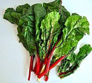 Paudha Swiss Chard Red Plant Seed (10 per packet)