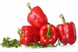 ALPINE HYBRID SEEDS Red Capsicumseeds,seeds,vegetbleseeds Seed (50 per packet)
