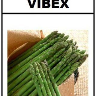 VibeX Asparagus Seed (5 per packet)