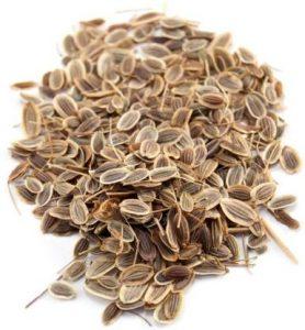 Arlo Dill Seed (30 per packet)