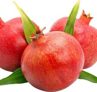PLANTZON Pomegranate Anaar Fruit Plant Seed (40 per packet)