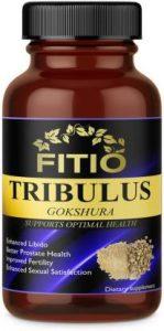 FITIO Wellness Tribulus Terrestris Extract (Gokshura) (60 Capsules)
