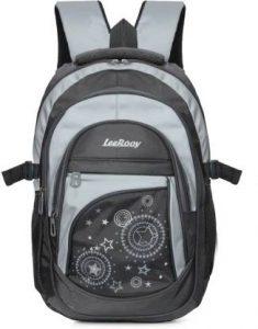 LeeRooy BAG 11 GRAY Waterproof School Bag (Grey, 40 L)