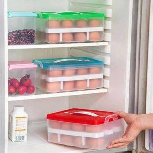 Maruti Enterprise 2 Layer Refrigerator Egg Storage 24 Grid Egg Container Organizer Box Plastic Portable Airtight Outdoor (Multicolor) - 750 ml Plastic Grocery Container (Multicolor)