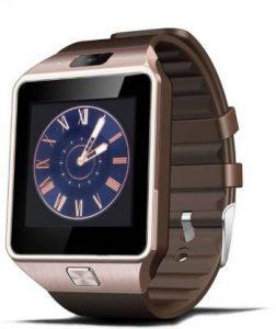 Coskart DZ09 Smartwatch (Brown Strap, 1.56)