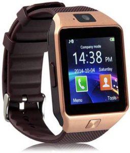 Highpride DZG111 Safety Notifier Smartwatch (Brown Strap, Standard)