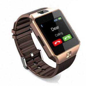 Highpride DZG114 Safety Notifier Smartwatch (Brown Strap, Standard)