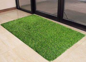 SUPERMACY Plastic Door Mat (Green, Free)
