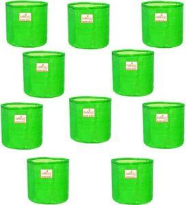 Tathastu - The Purity Plants, Fruit Tree, Herbs, Leafy Vegetables Grow Bag