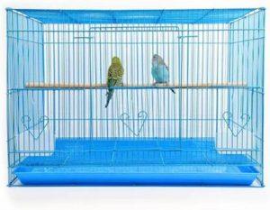 Petzlifeworld High Quality Powder Coated 2 Feet Blue Color Love Birds Cage Bird Cage