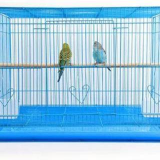 Petzlifeworld High Quality Powder Coated 2 Feet Blue Color Love Birds Cage Bird Cage