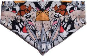 Groomsome Bandana for Dog, Cat (Comic)