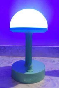 Rechargeable Multicolour Night Lamp with 5 Dimming Light Lantern (green)