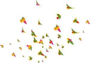 Medium Wall Sticker (Pack of 1)