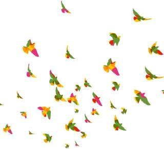 Medium Wall Sticker (Pack of 1)