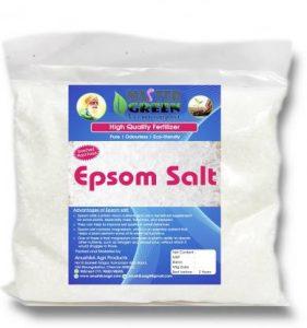 master green Premium Epsom Salt - Magnesium Sulphate 5Kg Fertilizer (5 kg, Granules)