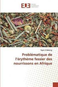 Problematique de l'erytheme fessier des nourrissons en Afrique (French, Paperback, A Mekong Ngon)