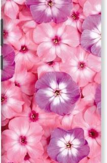 RangDe Back Cover for VIVO Y66 (Pink)