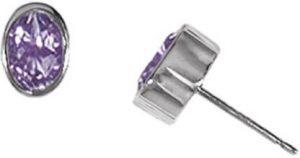 Ceylonmine – Natural 100% Original Silver Plated Ameythst Earring For women And Girls Amethyst Silver Stud Earring