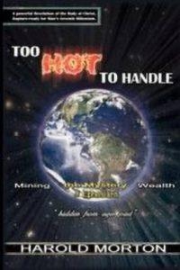 Too Hot to Handle (English, Paperback, Morton Harold)