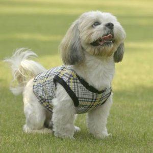 Groomsome T-shirt for Dog, Cat (Yellow)